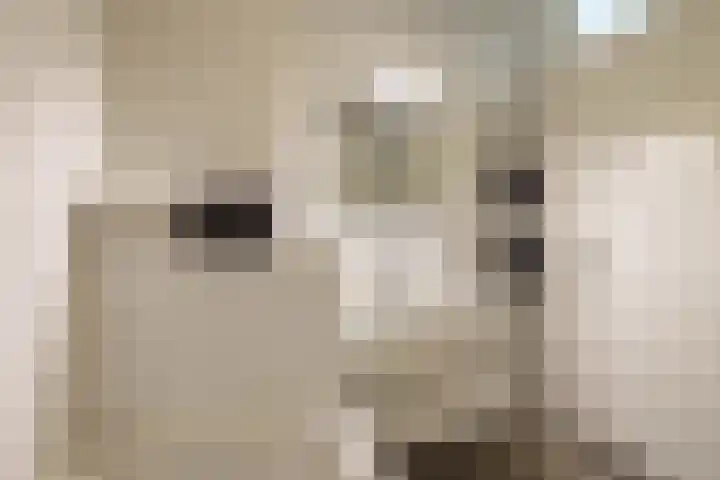 Oosterwal 10 Assen thumbnail 43