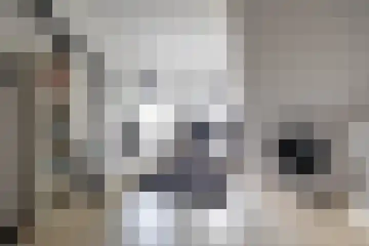 Oosterwal 10 Assen thumbnail 47
