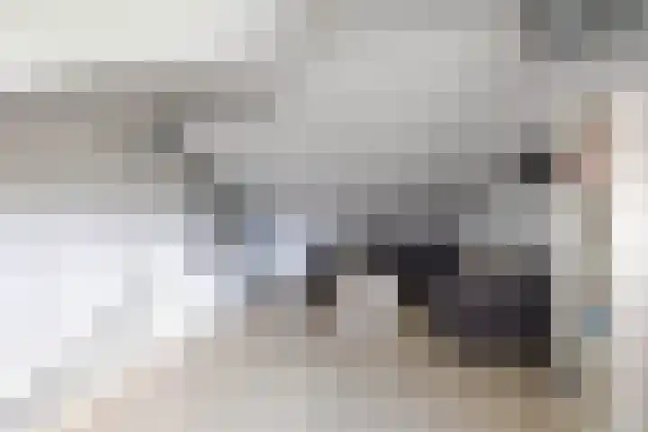 Oosterwal 10 Assen thumbnail 48
