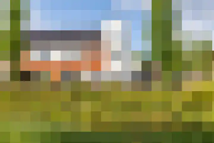 Oosterwal 10 Assen thumbnail 5