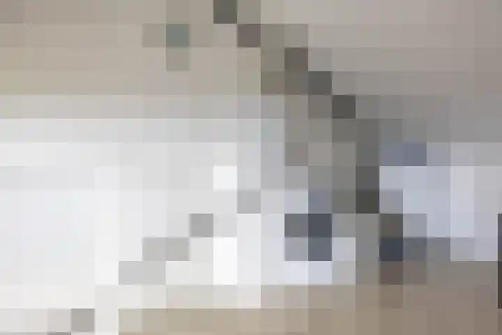 Oosterwal 10 Assen thumbnail 50