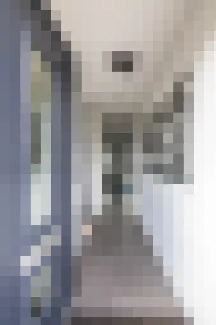 Oosterwal 10 Assen thumbnail 8
