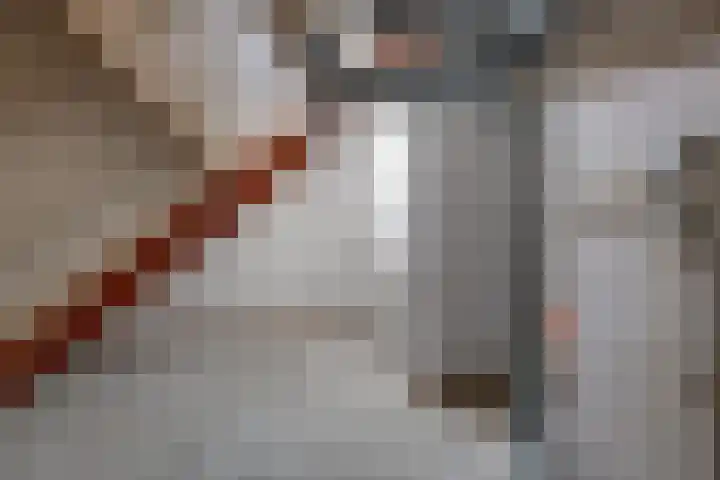 Oosterwal 15 Lochem thumbnail 17