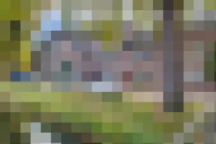 Oosterwal 15 Lochem thumbnail 20