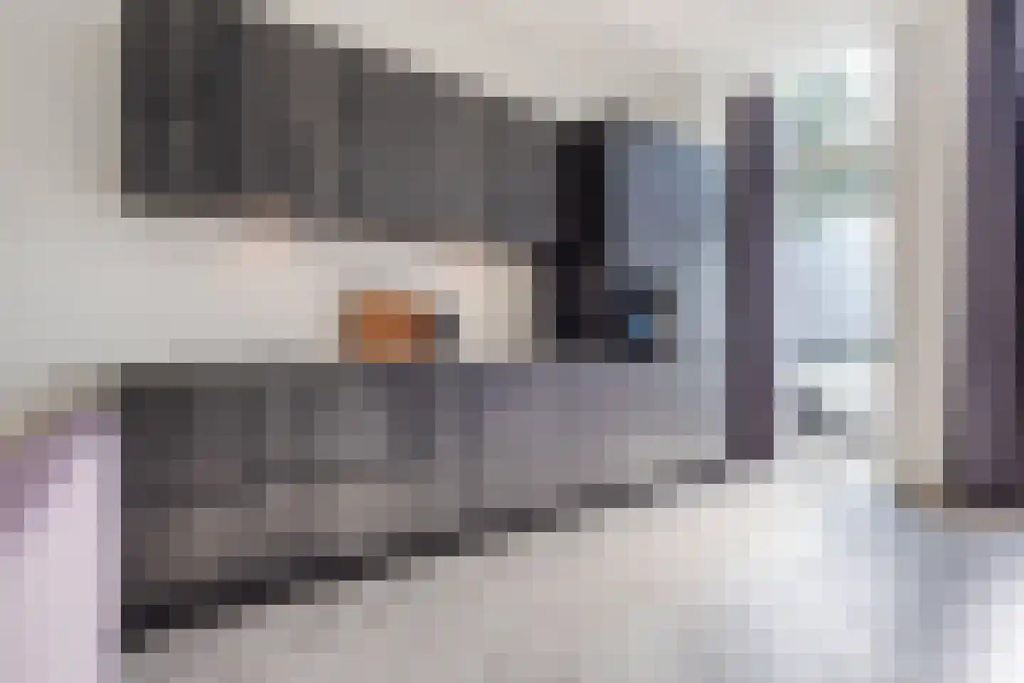 Oosterwal 21 b Lochem thumbnail 13