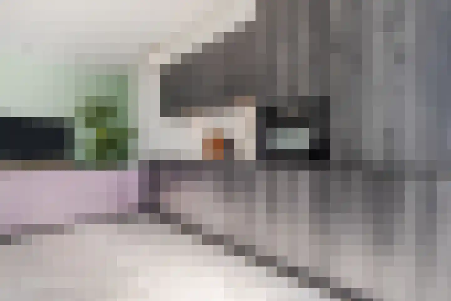 Oosterwal 21 b Lochem thumbnail 14
