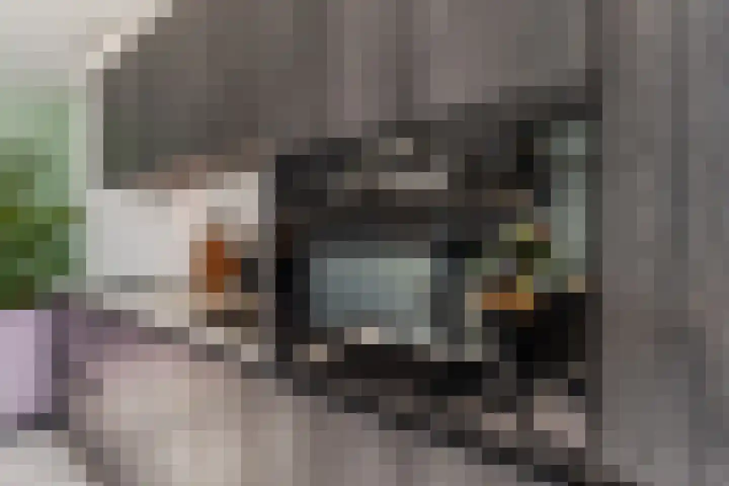 Oosterwal 21 b Lochem thumbnail 15