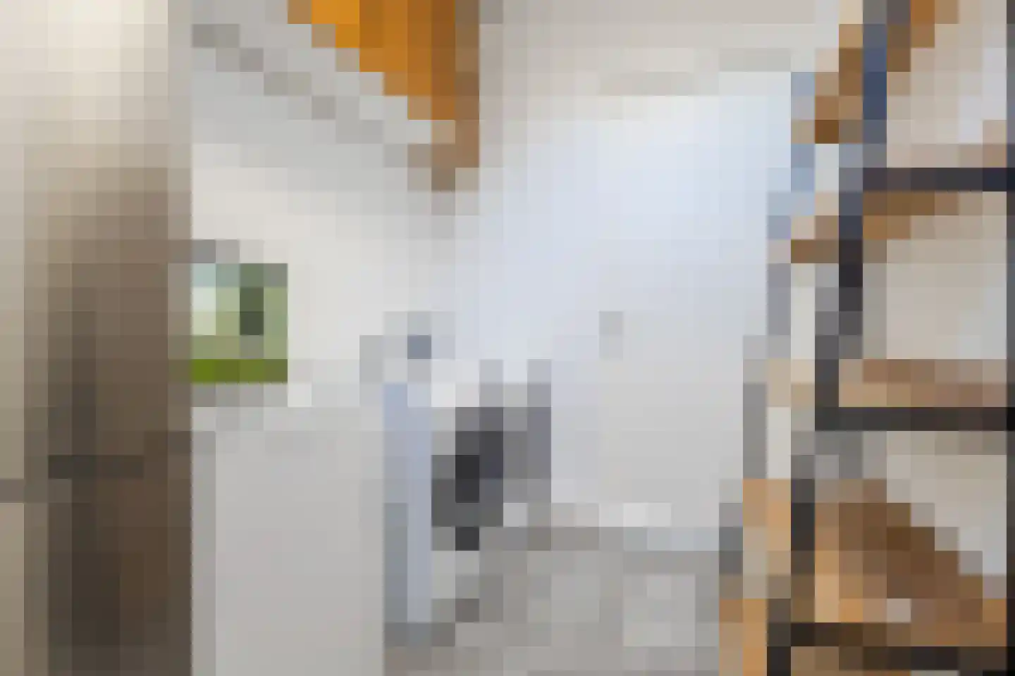 Oosterwal 21 b Lochem thumbnail 30