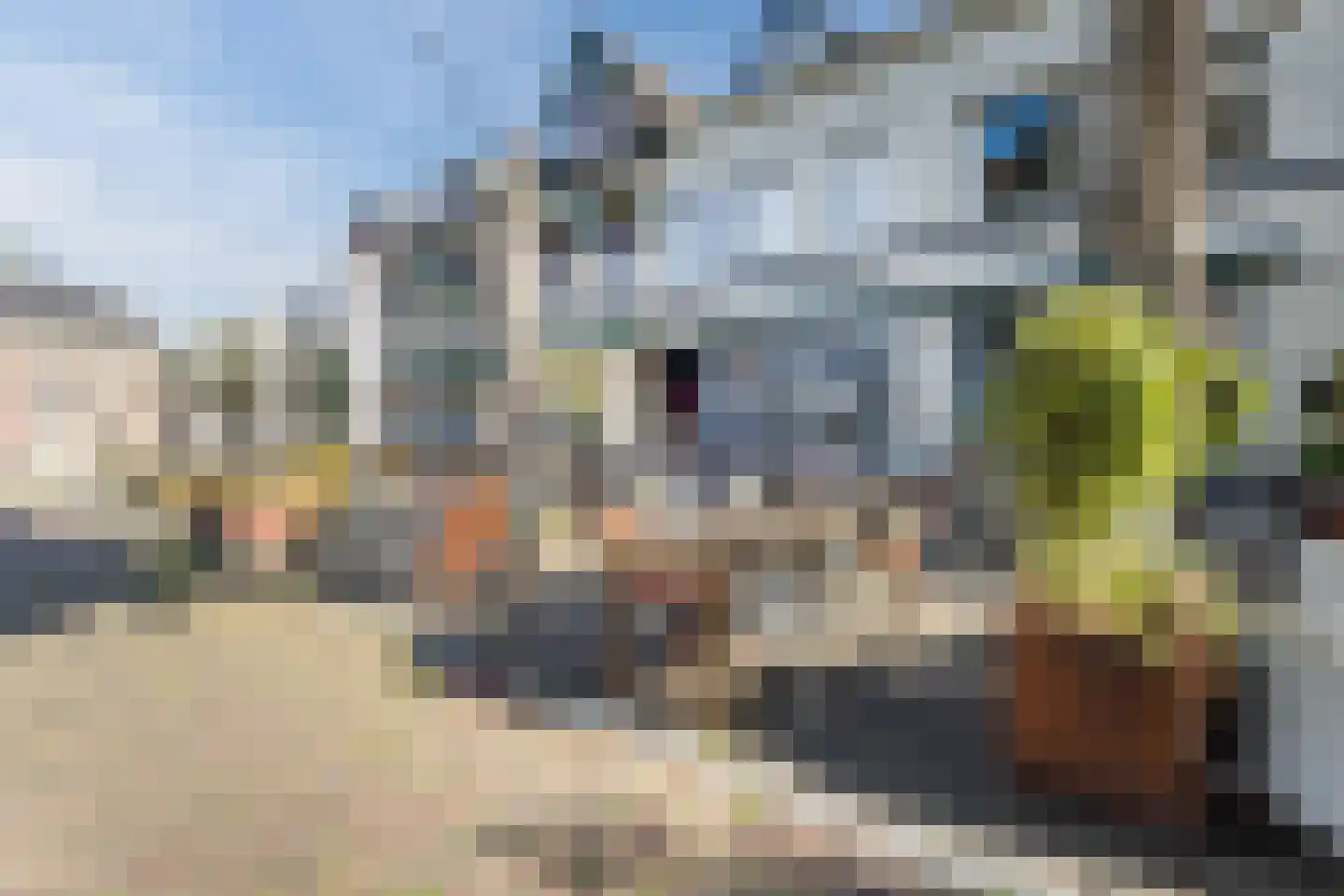 Oosterwal 21 b Lochem thumbnail 37