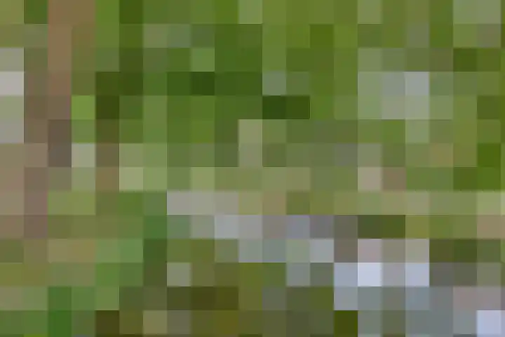 Oosterwal 21 Lochem thumbnail 23