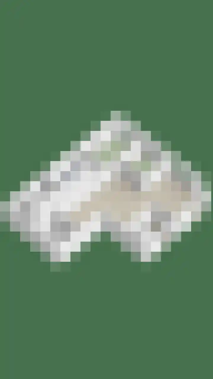 Oosterwal 21 Lochem thumbnail 25