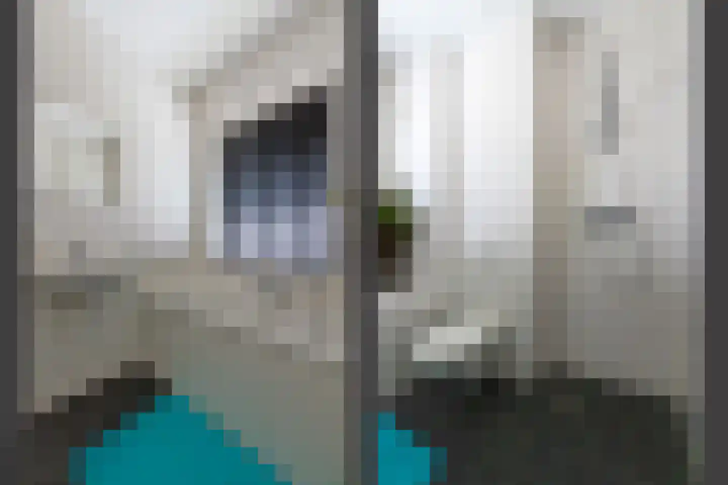 Oosterwal 22 Assen thumbnail 25