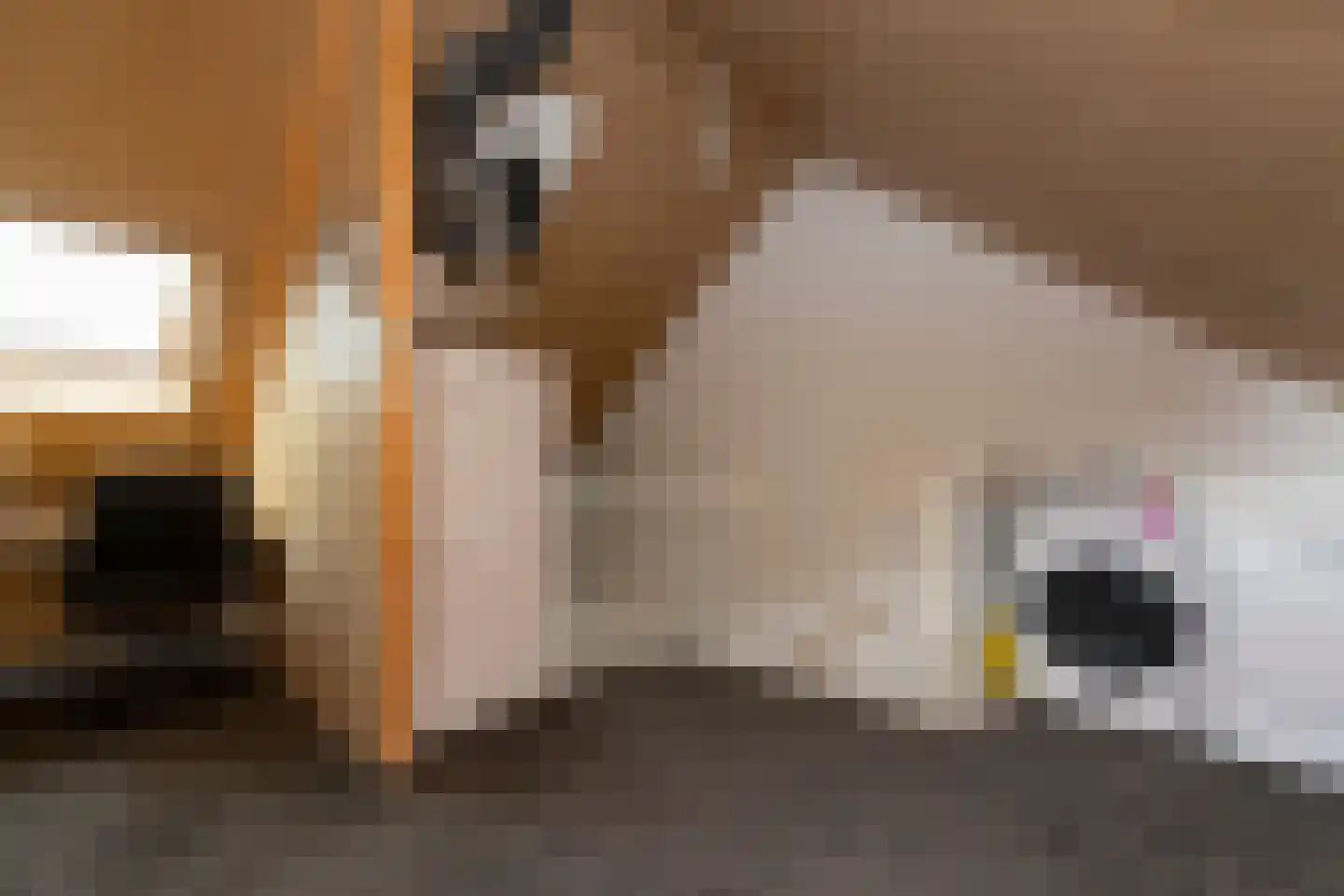 Oosterwal 22 Assen thumbnail 36