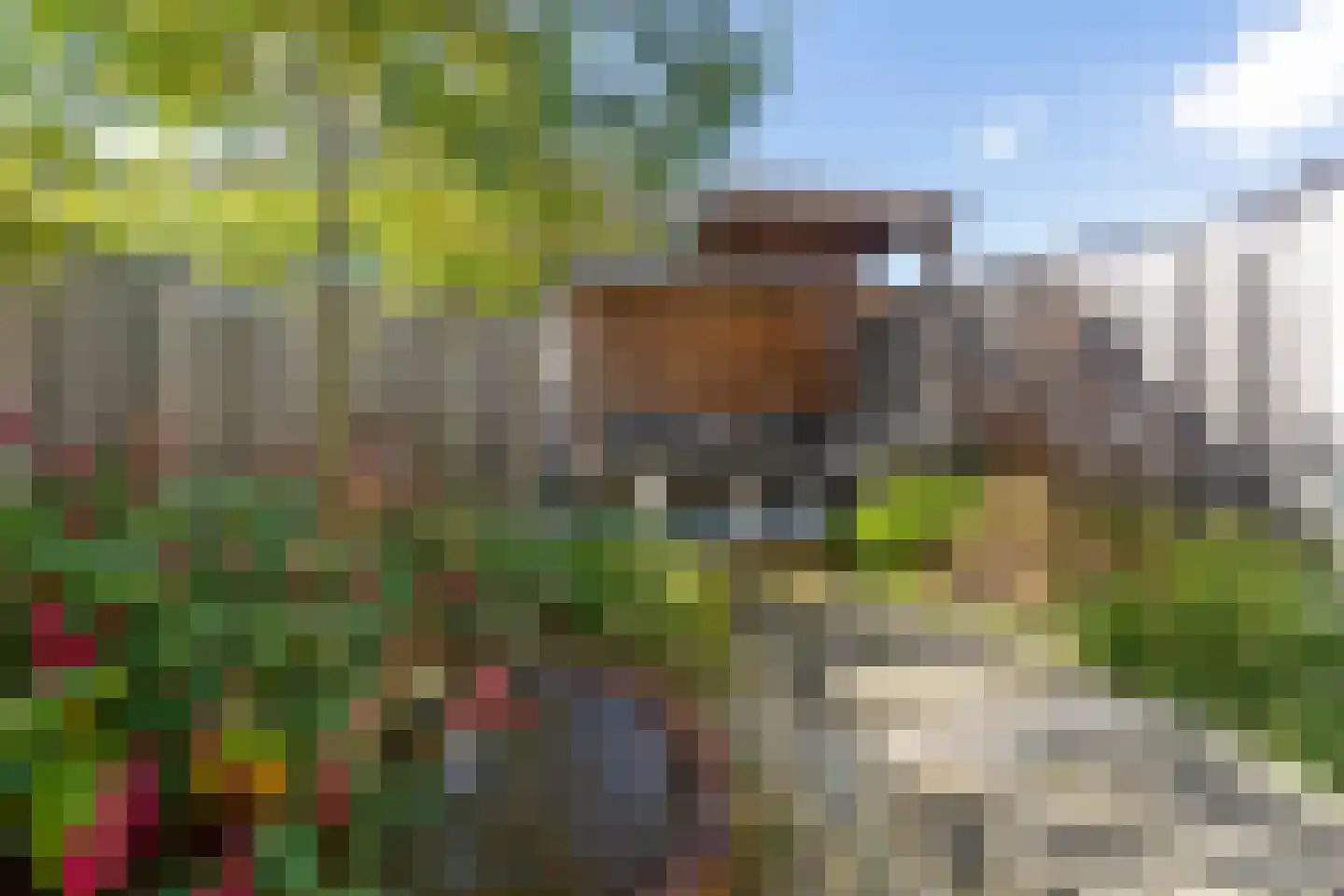 Oosterwal 22 Assen thumbnail 43
