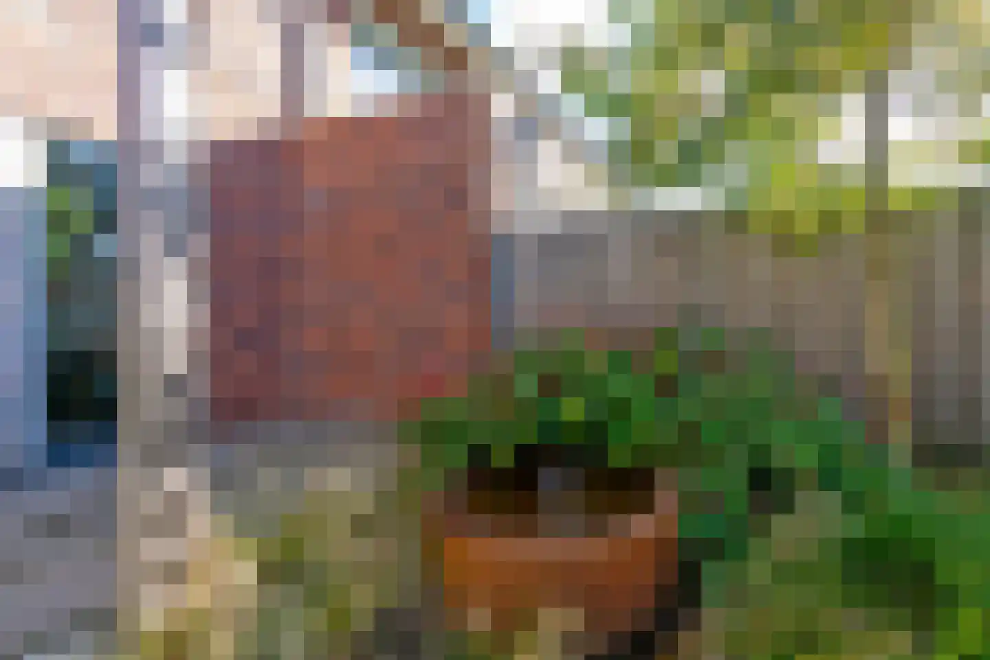 Oosterwal 22 Assen thumbnail 44