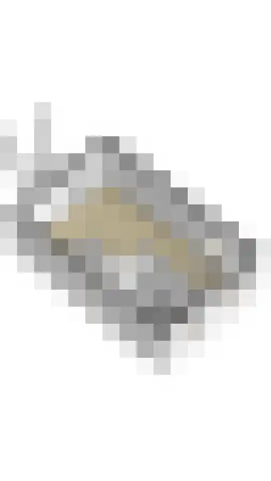 Oosterwal 22 Assen thumbnail 49