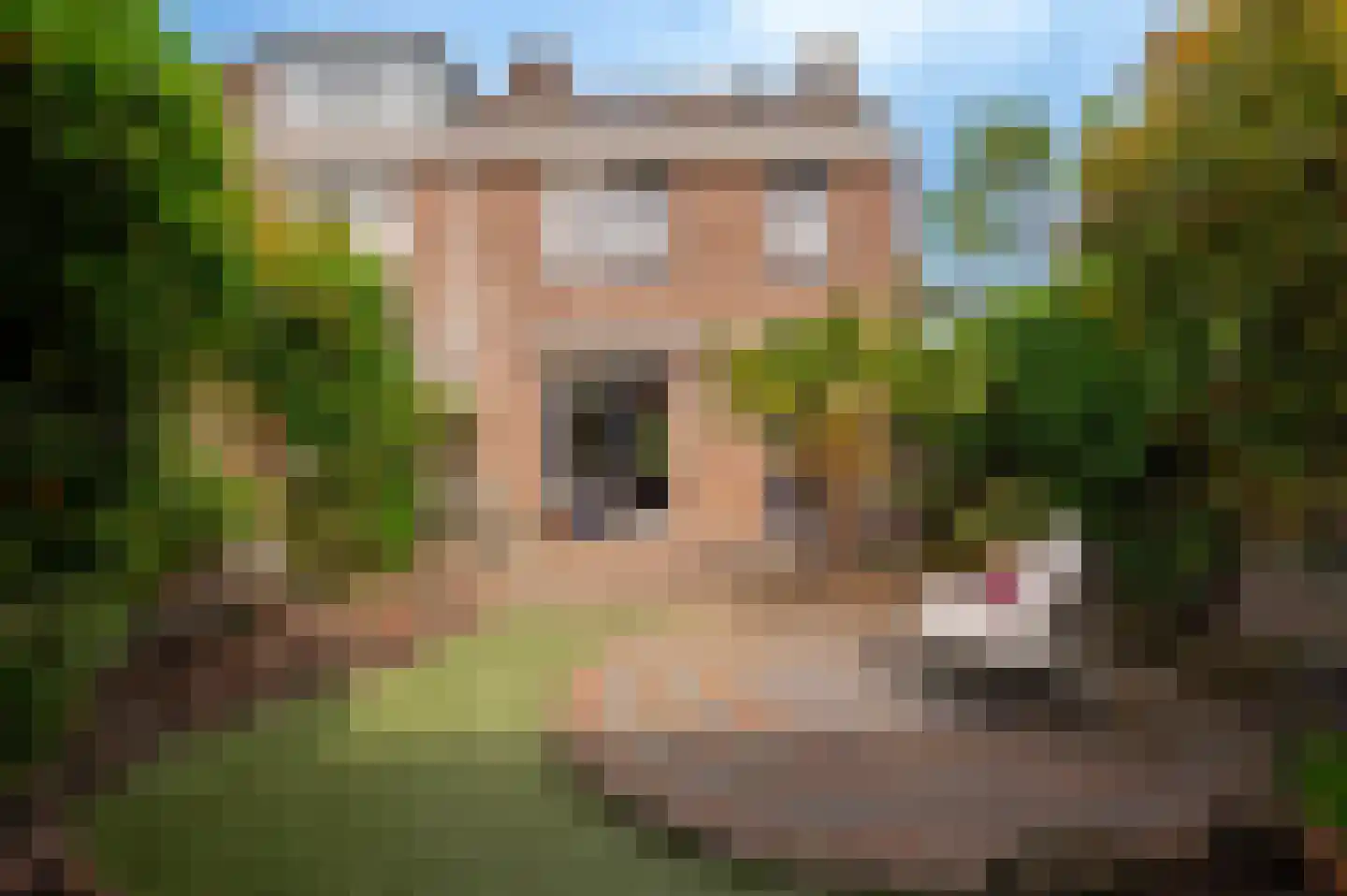 Oosterwal 22 Culemborg thumbnail 12