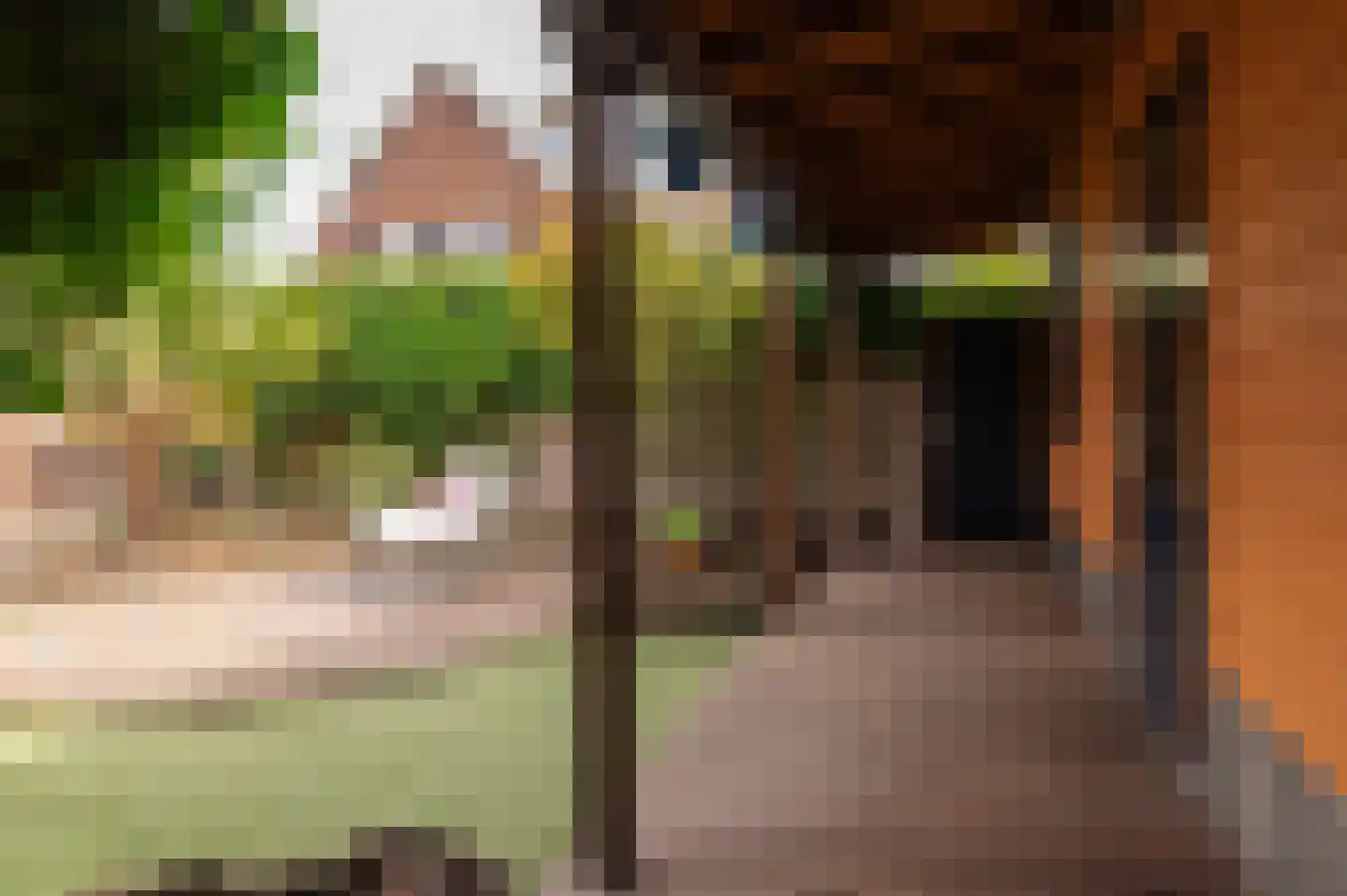 Oosterwal 22 Culemborg thumbnail 14