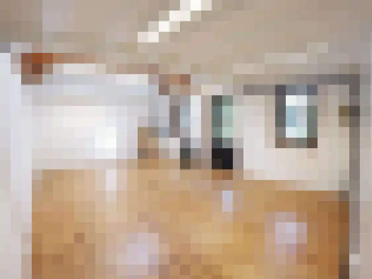 Oosterwal 22 Culemborg thumbnail 20