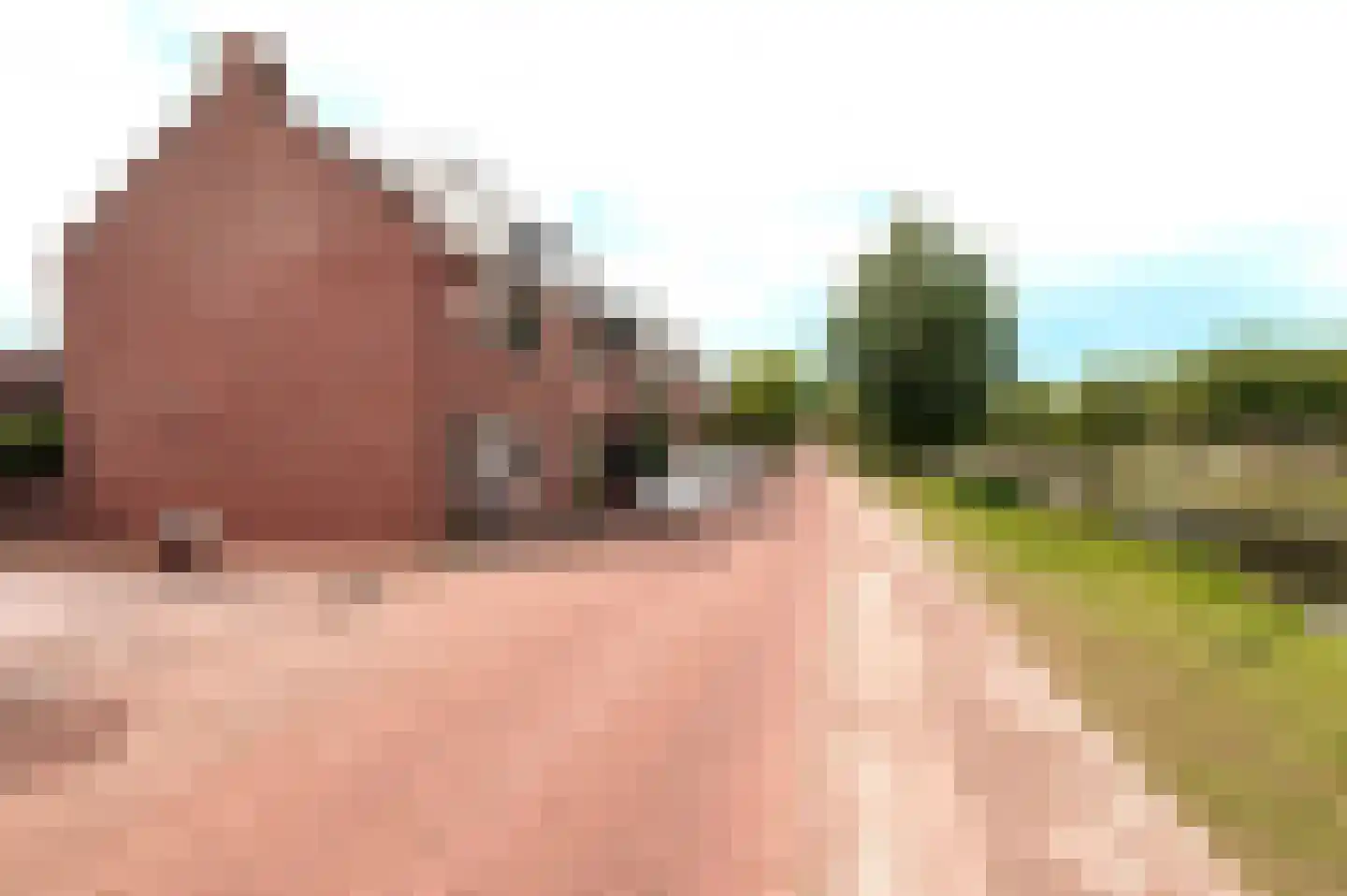 Oosterwal 22 Culemborg thumbnail 37