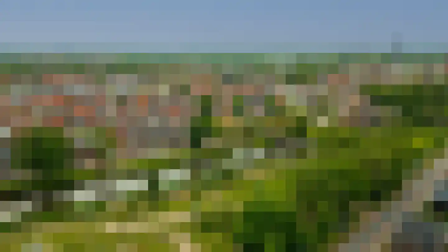 Oosterwal 22 Culemborg thumbnail 40