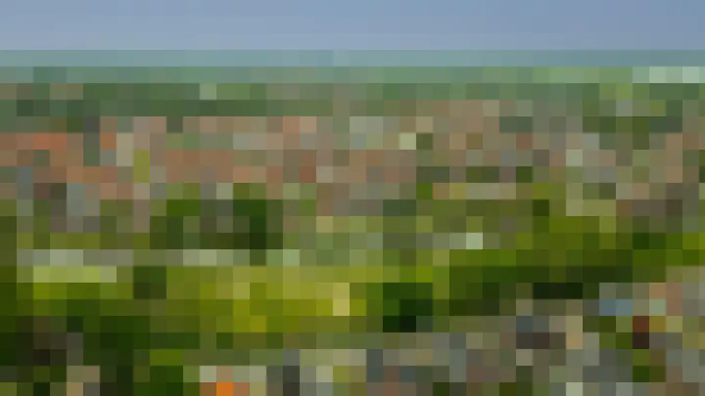 Oosterwal 22 Culemborg thumbnail 41