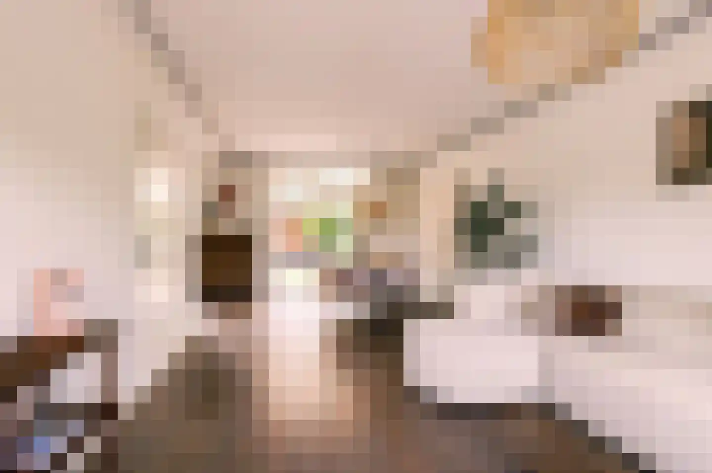 Oosterwal 22 Culemborg thumbnail 7