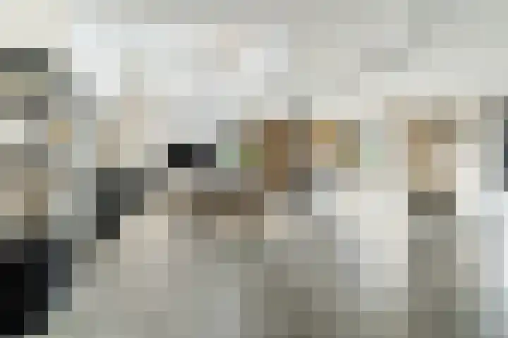 Oosterwal 26 Culemborg thumbnail 15