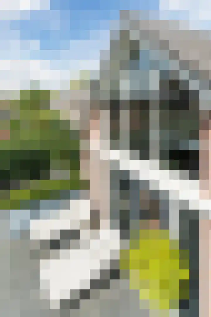 Oosterwal 26 Culemborg thumbnail 36