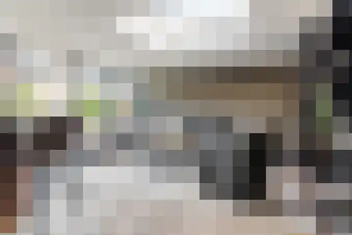 Oosterwal 26 Culemborg thumbnail 39