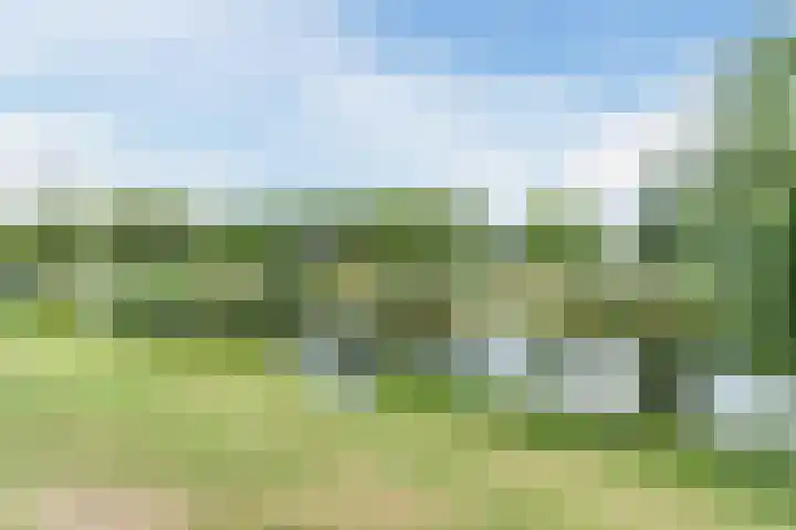 Oosterwal 26 Culemborg thumbnail 4