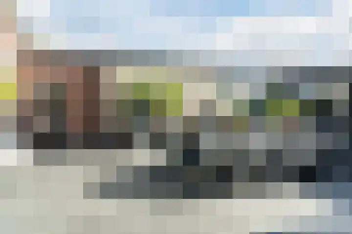 Oosterwal 26 Culemborg thumbnail 43