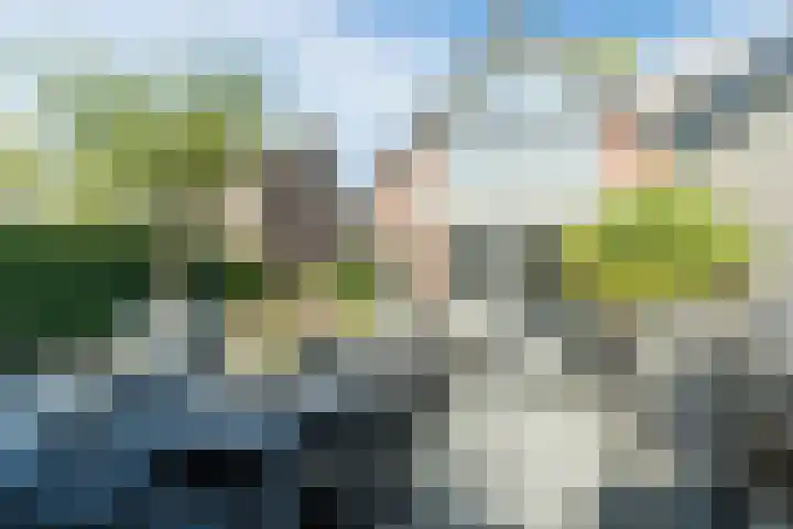 Oosterwal 26 Culemborg thumbnail 44