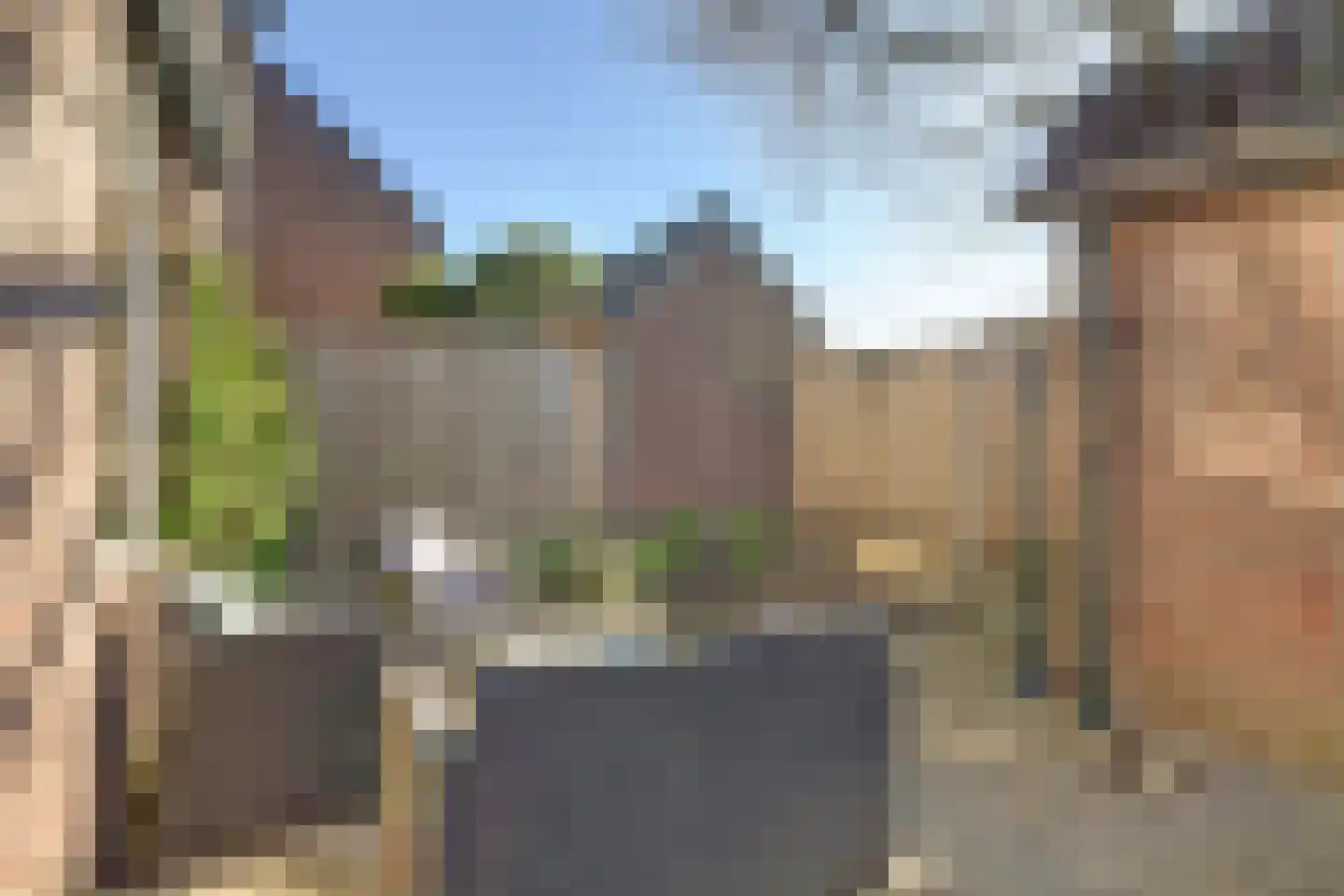 Oosterwal 3 Lochem thumbnail 17
