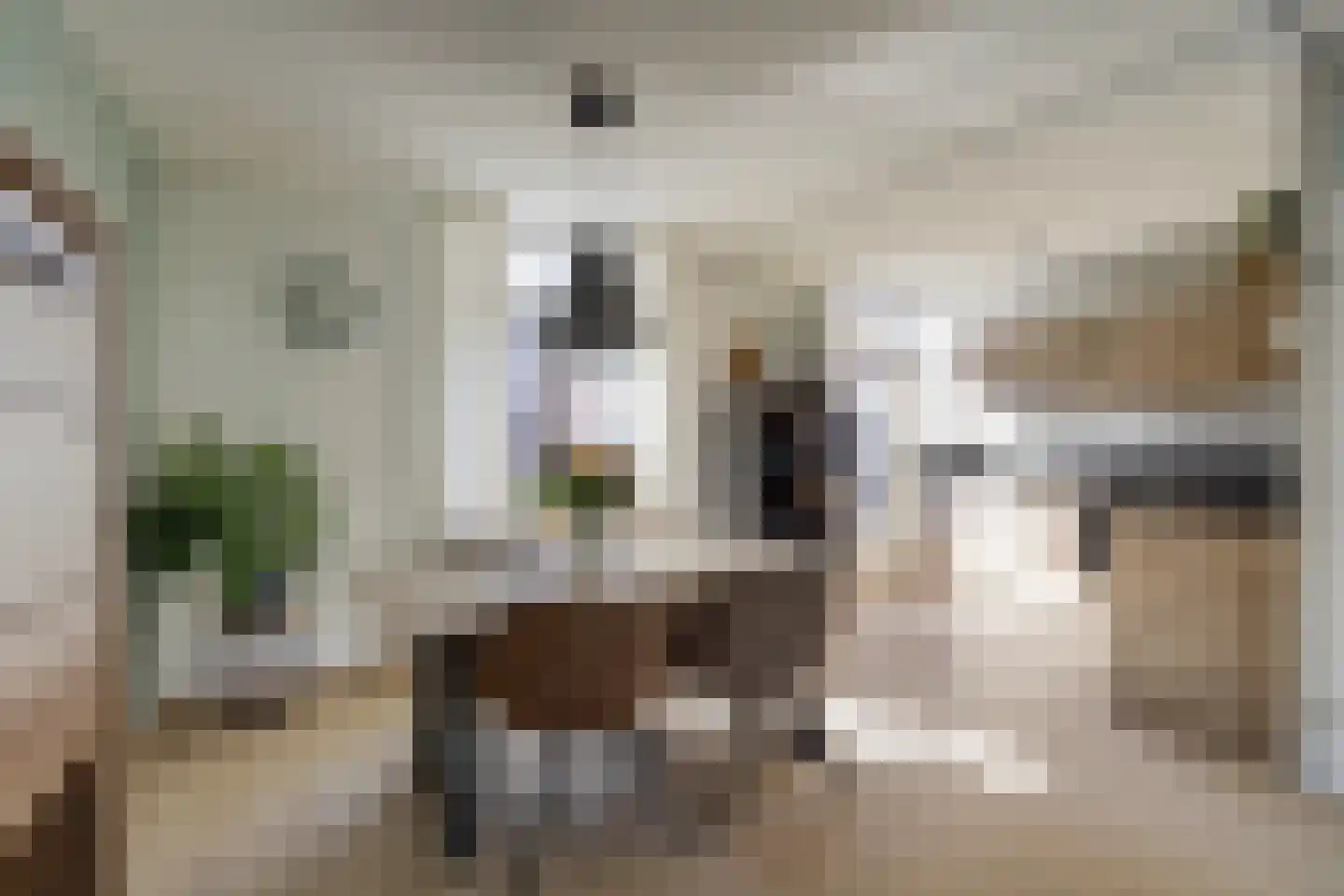 Oosterwal 3 Lochem thumbnail 6