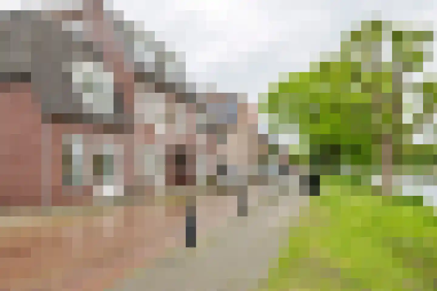 Oosterwal 37 b Culemborg