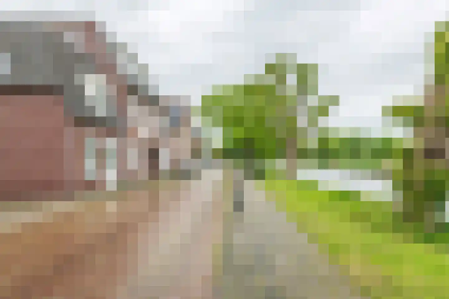 Oosterwal 37 b Culemborg thumbnail 29