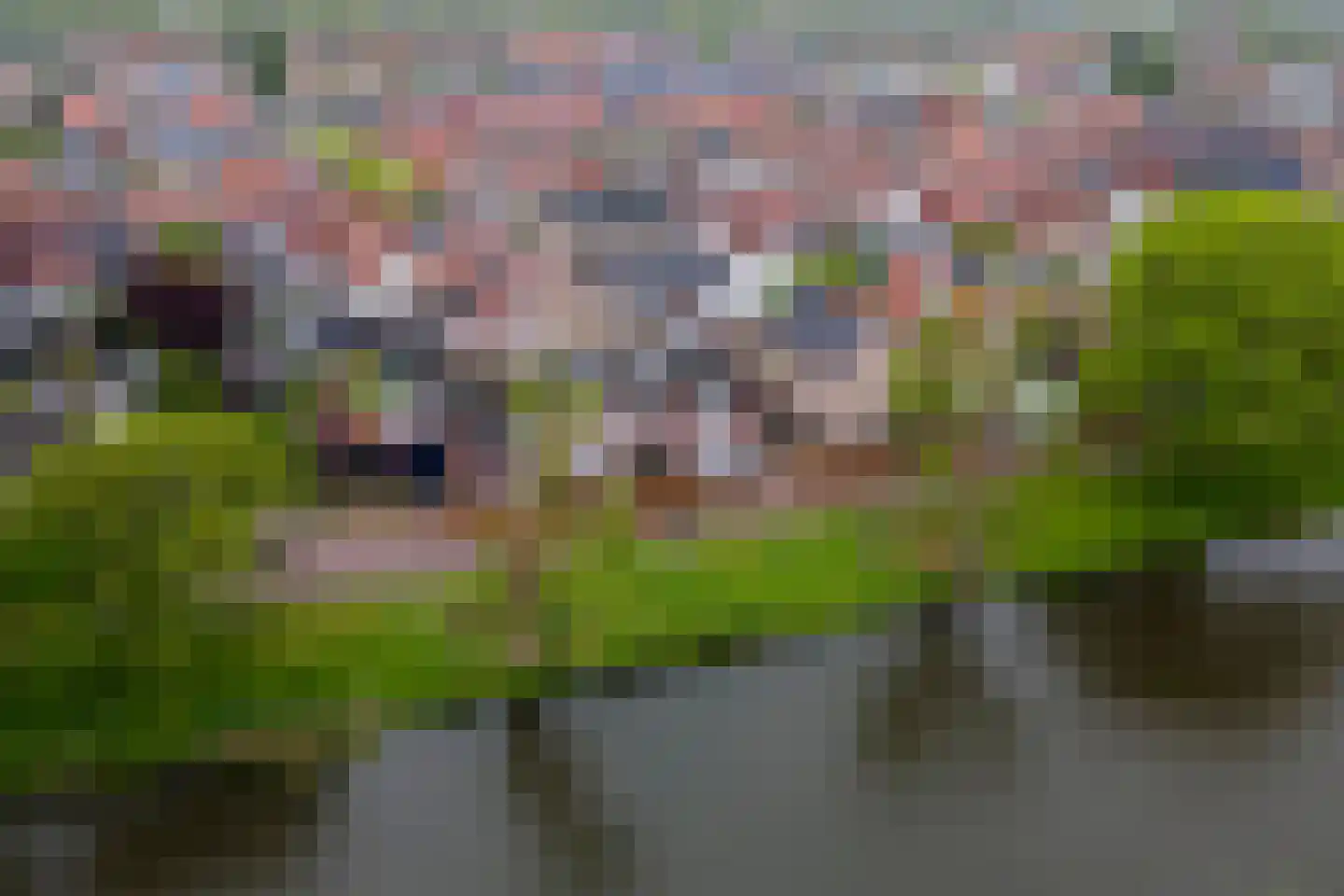 Oosterwal 37 b Culemborg thumbnail 30