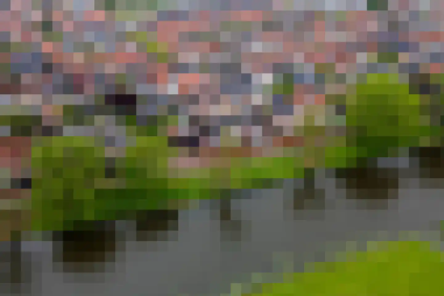 Oosterwal 37 b Culemborg thumbnail 31