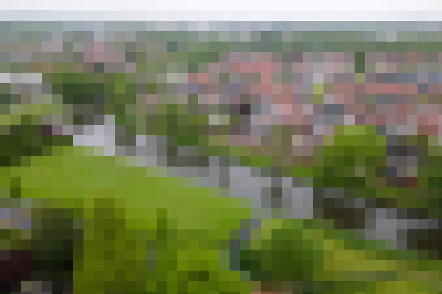 Oosterwal 37 b Culemborg thumbnail 32