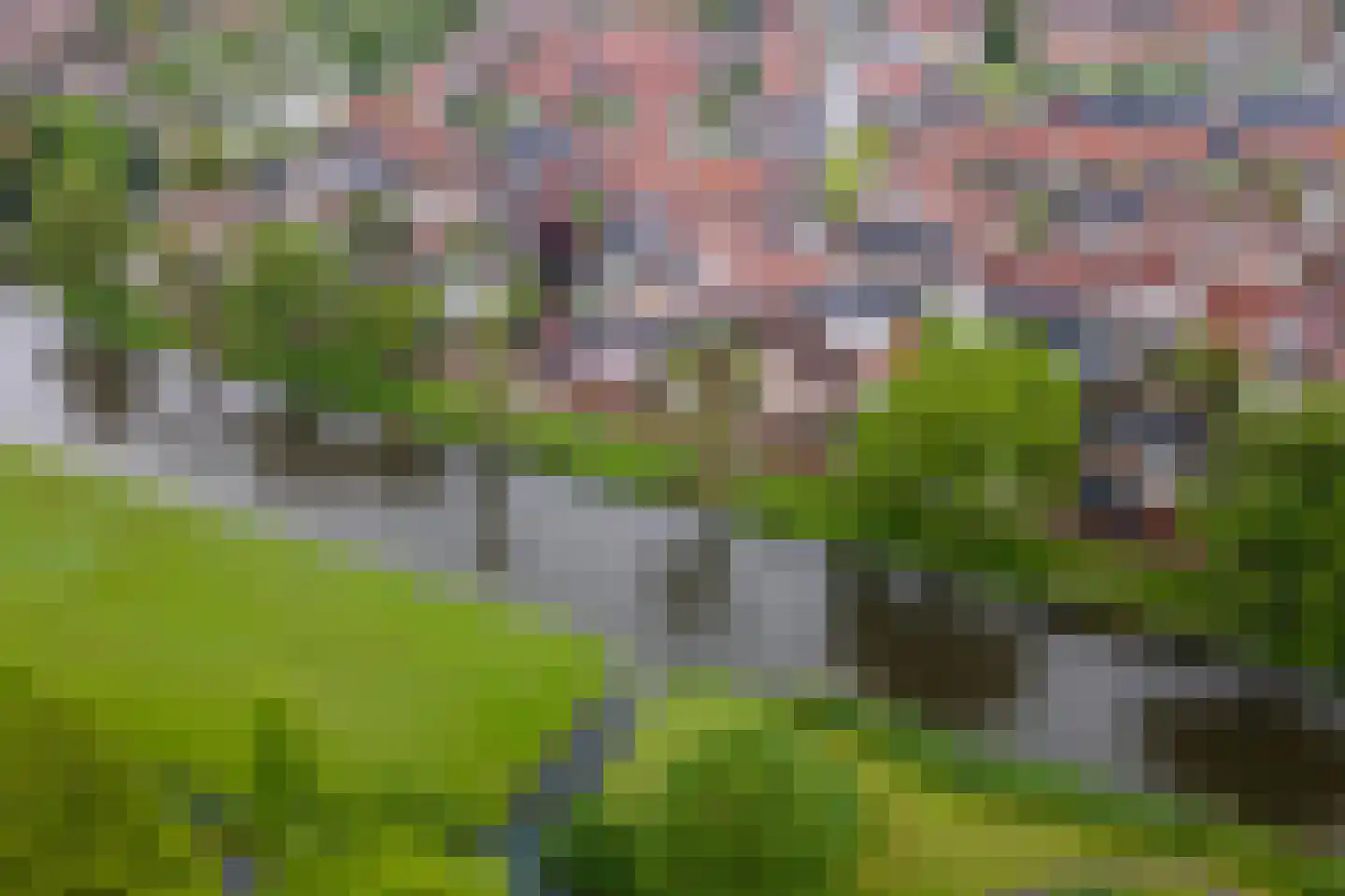 Oosterwal 37 b Culemborg thumbnail 33