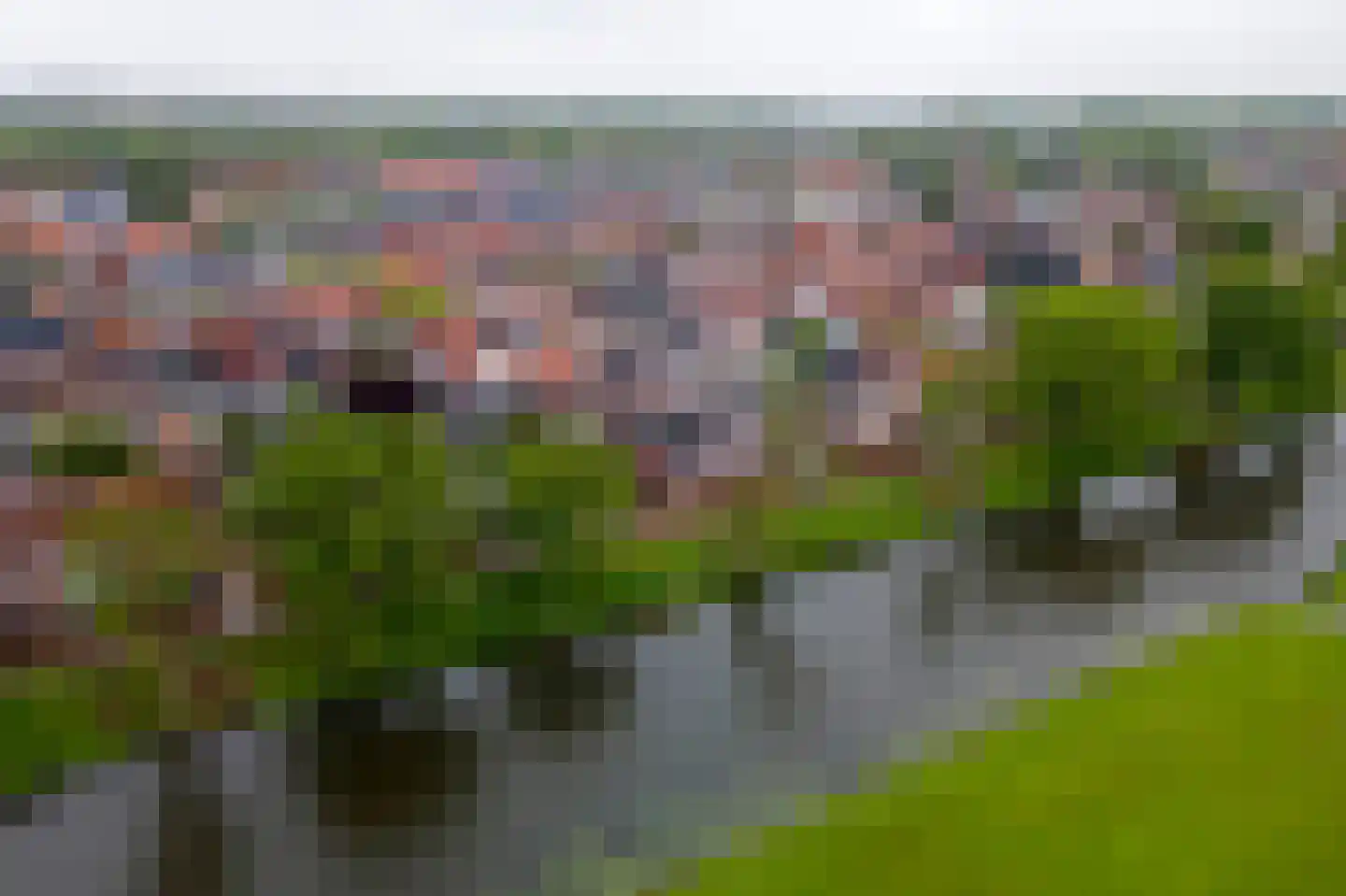 Oosterwal 37 b Culemborg thumbnail 34