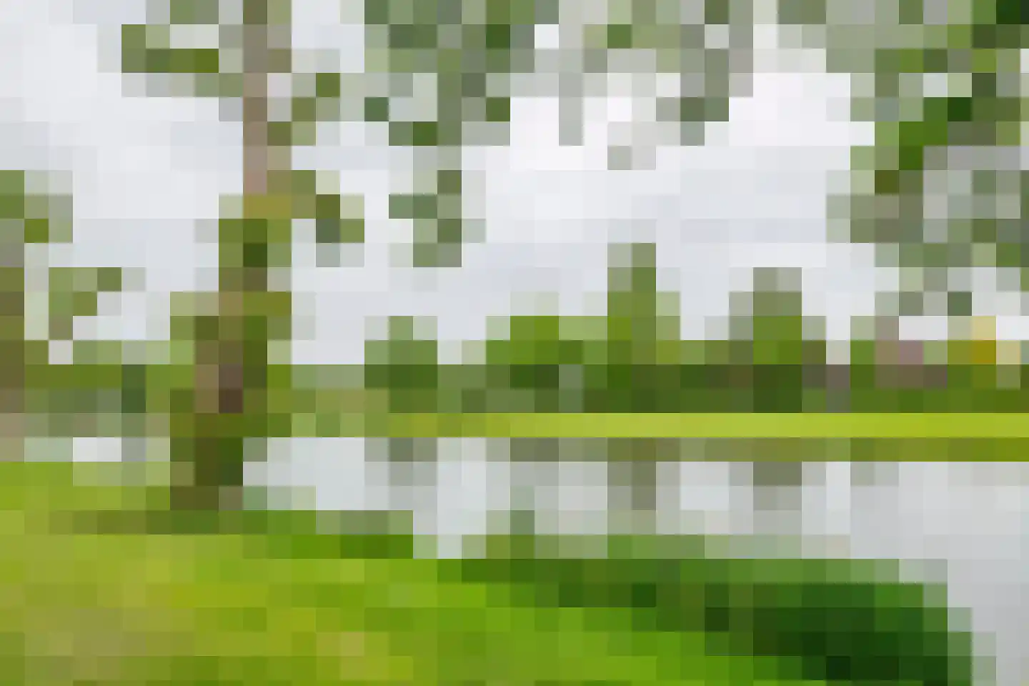 Oosterwal 37 b Culemborg thumbnail 4