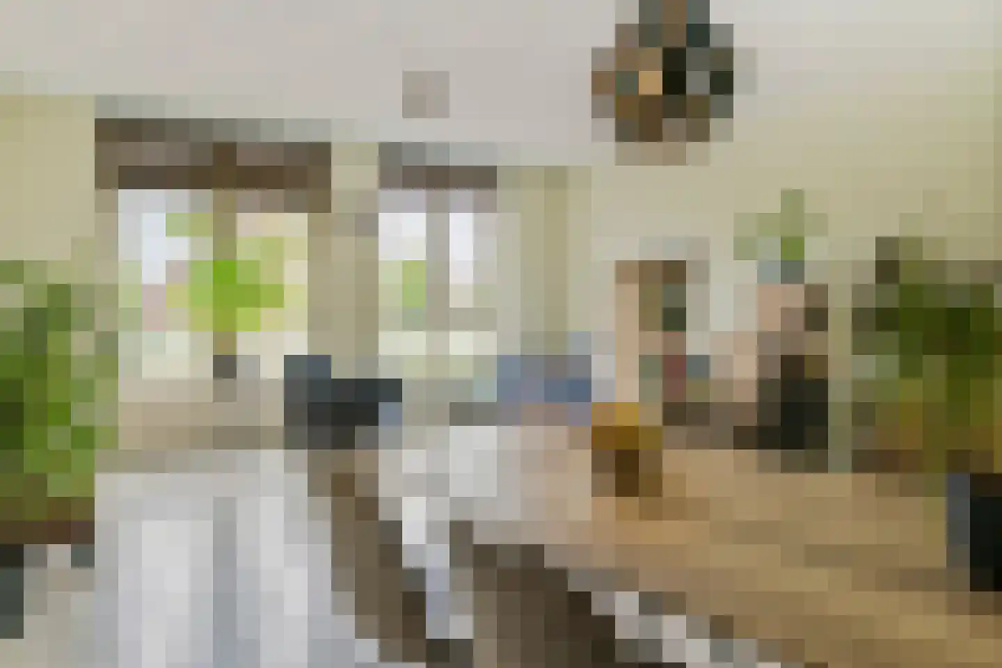 Oosterwal 37 b Culemborg thumbnail 6
