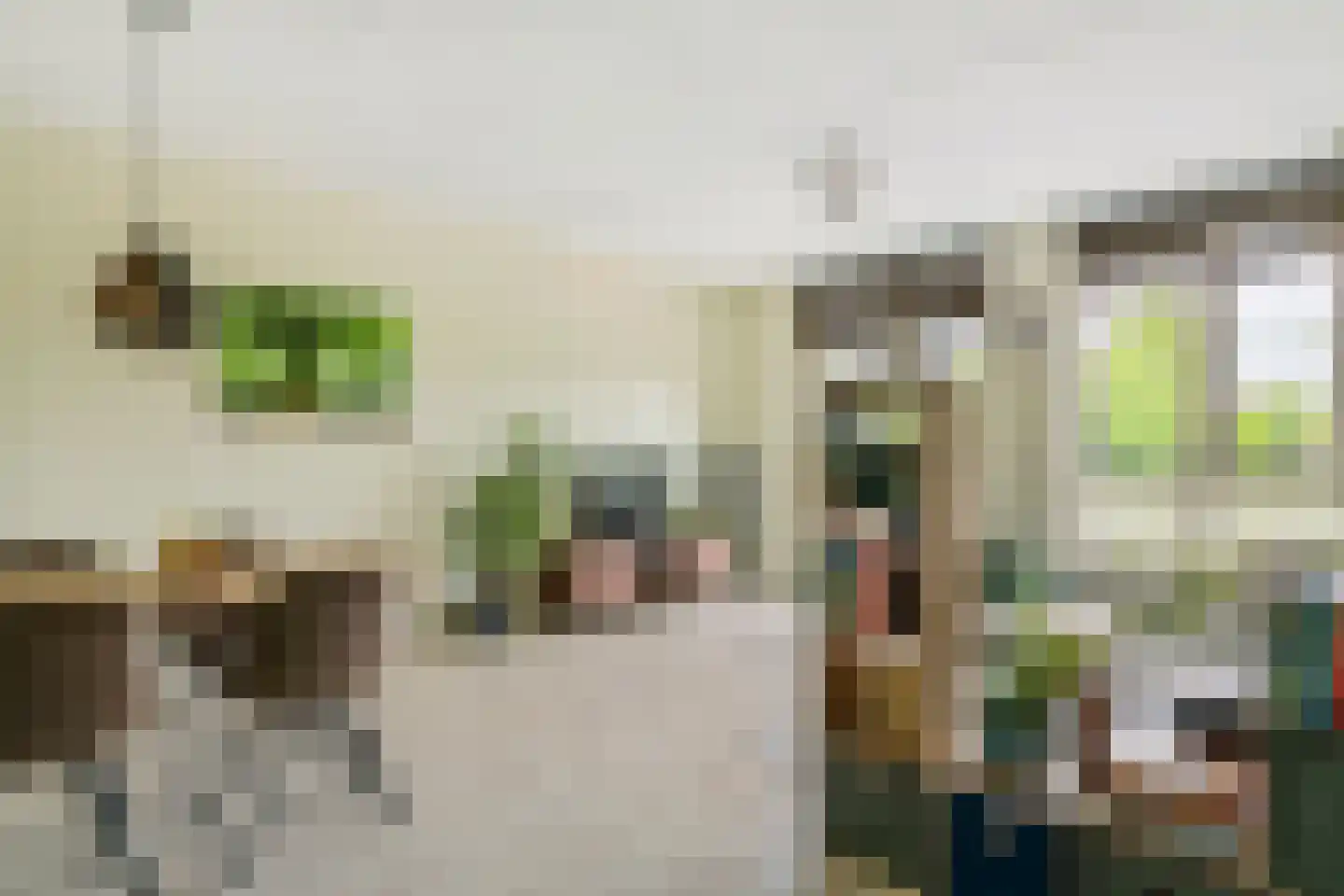 Oosterwal 37 b Culemborg thumbnail 8