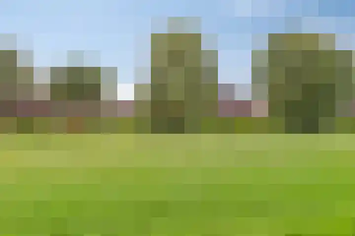 Oosterwal 37 Culemborg thumbnail 28
