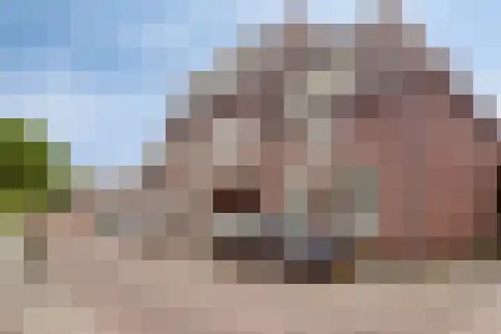 Oosterwal 37 Culemborg thumbnail 33