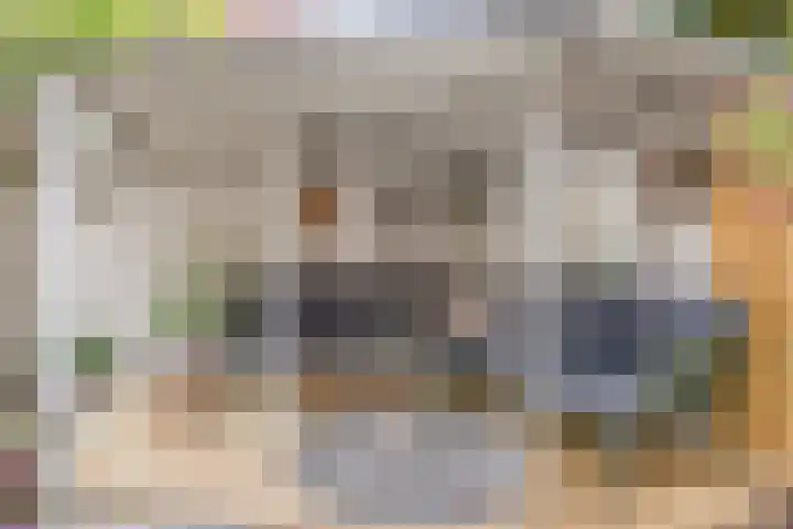 Oosterwal 37 Culemborg thumbnail 5