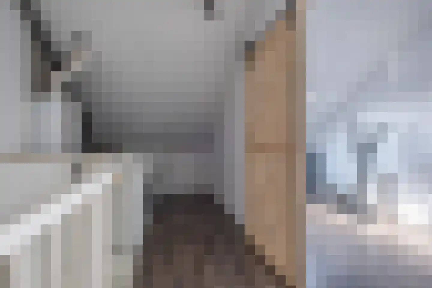 Oosterwal 4 Assen thumbnail 16