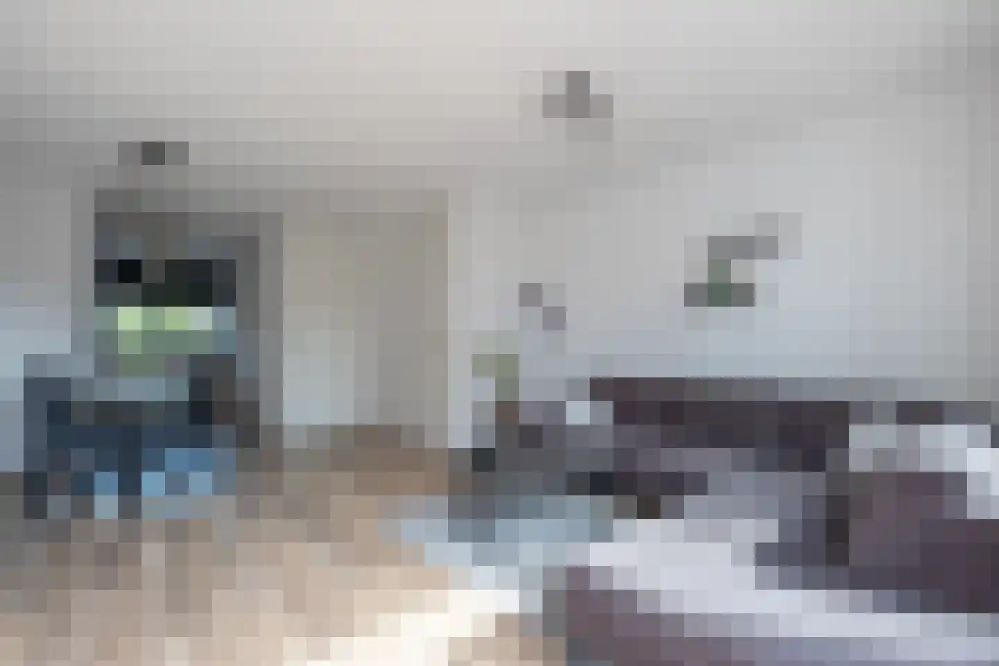 Oosterwal 4 Assen thumbnail 4